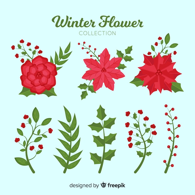 Free vector winter flowers collection