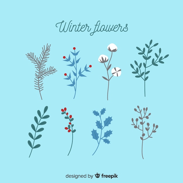 Free Vector winter flowers collection