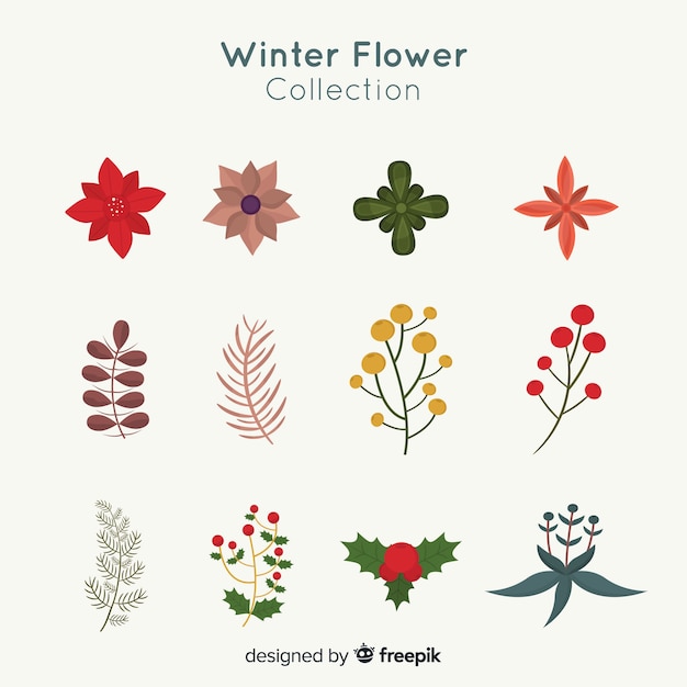 Winter flowers collection