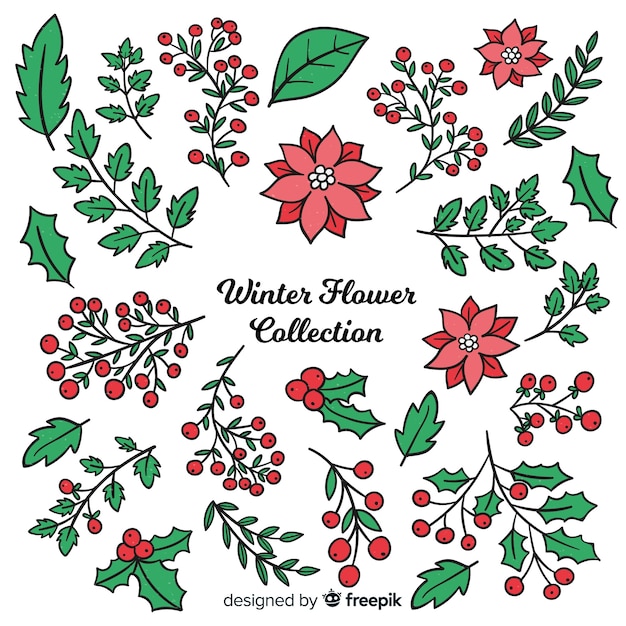 Free vector winter flowers collection