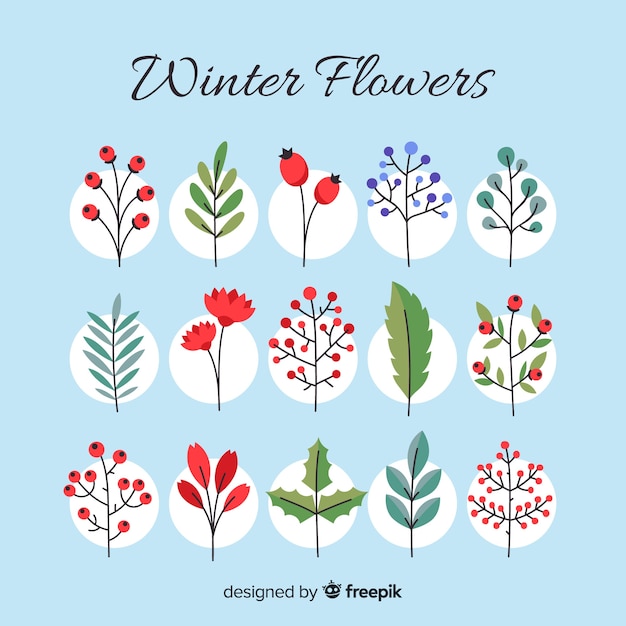 Winter flowers collection