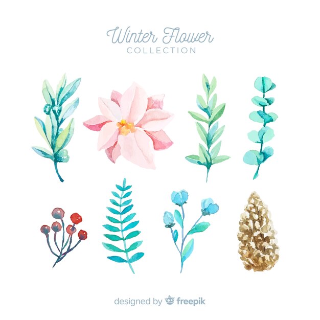 Free Vector winter flowers collection