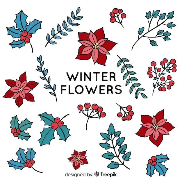 Winter flowers collection