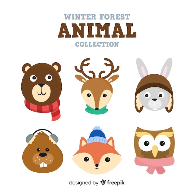 Winter forest animal collection