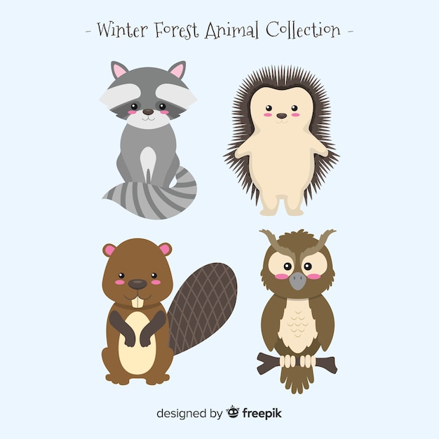 Winter forest animal collection