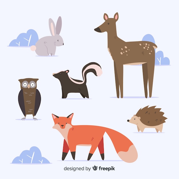 Free Vector winter forest animal collection