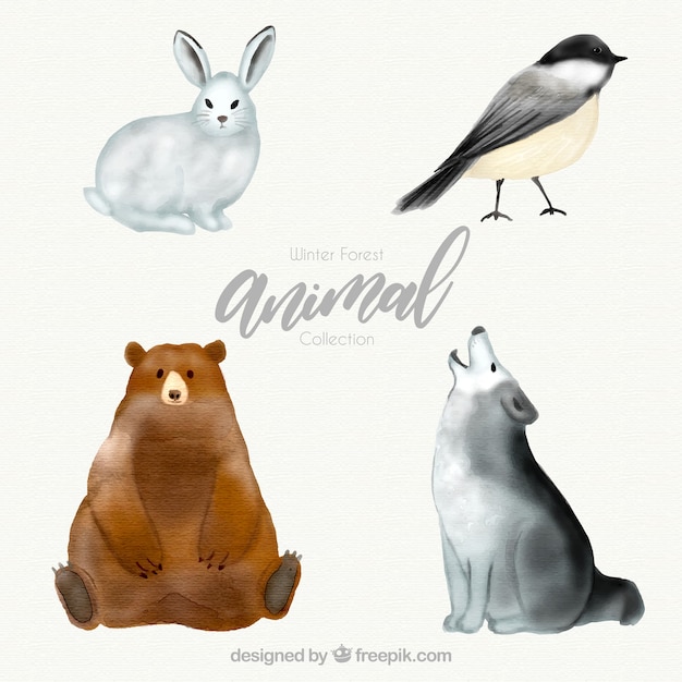 Free vector winter forest animal