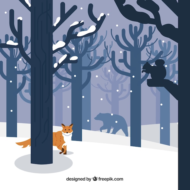 Winter forest animal