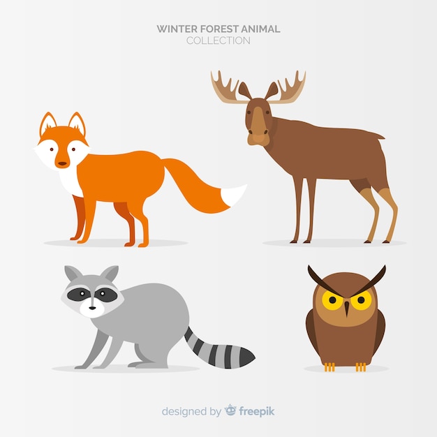 Winter forest animals collection