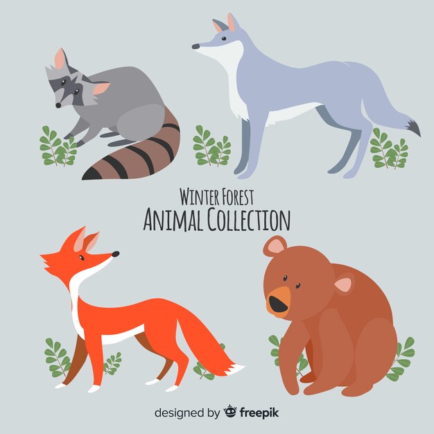 Winter forest animals collection