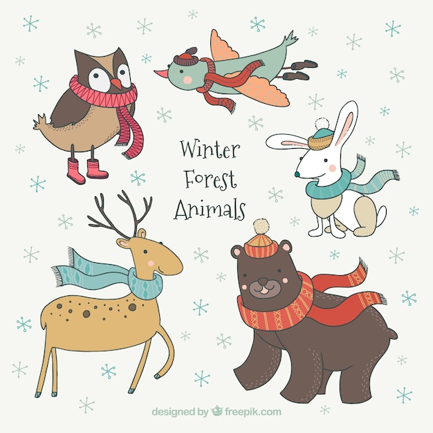 Free Vector winter forest animals