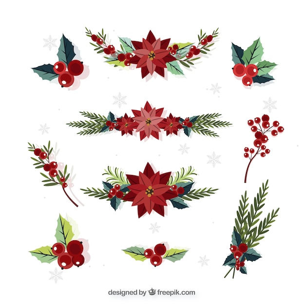 Free Vector winter hand drawn collection of red flowers and berries