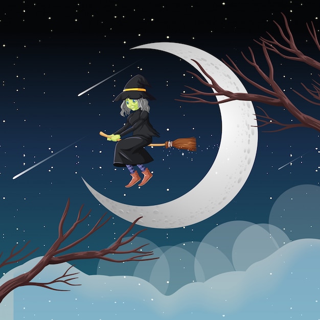 Witch or wizard riding broomstick the sky isolated on sky background