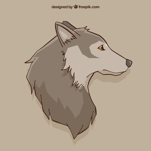 Wolf drawing background 