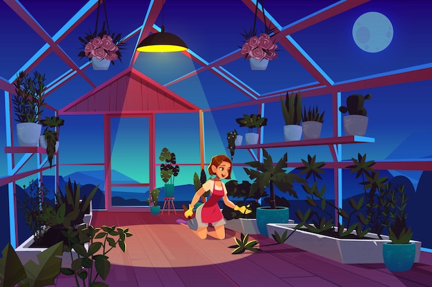 Woman in greenhouse at night time care of garden plants. 