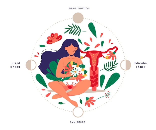 Free Vector woman reproductive system