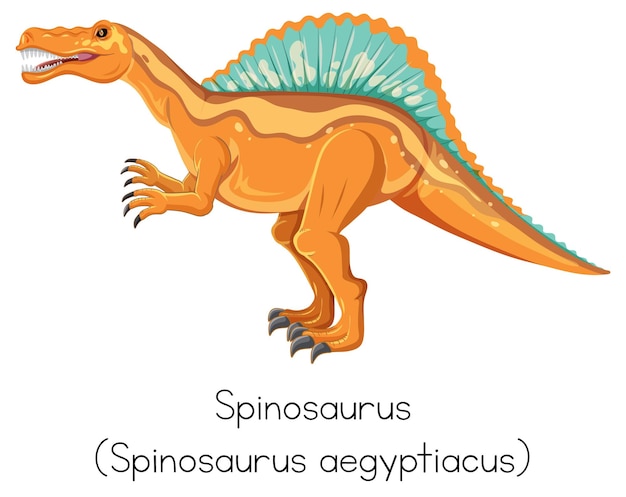 Free Vector wordcard design for spinosaurus