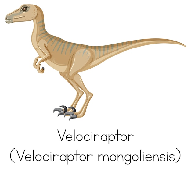 Wordcard for velociraptor standing