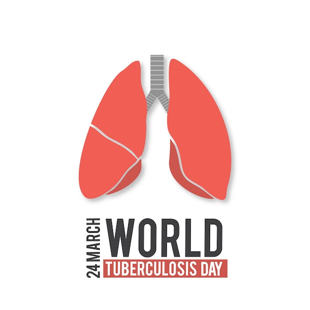 World tuberculosis day, lungs on white background