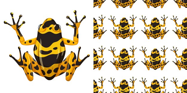 Yellow-banded poison dart frog isolated on white background and seamless