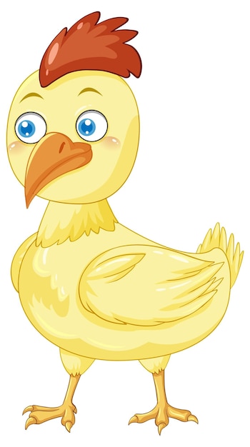 Yellow chicken in cartoon design