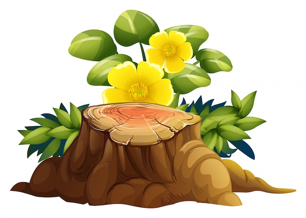 Free Vector yellow flowers and stump on white background