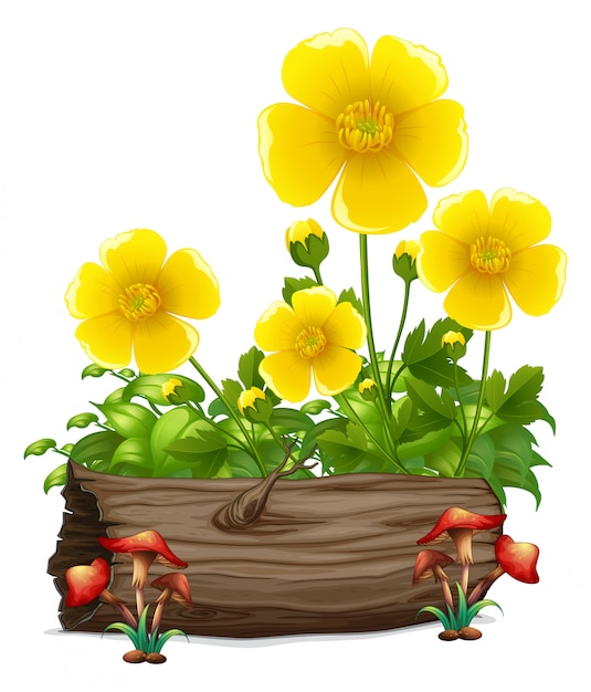 Free Vector yellow flowers and wooden log 