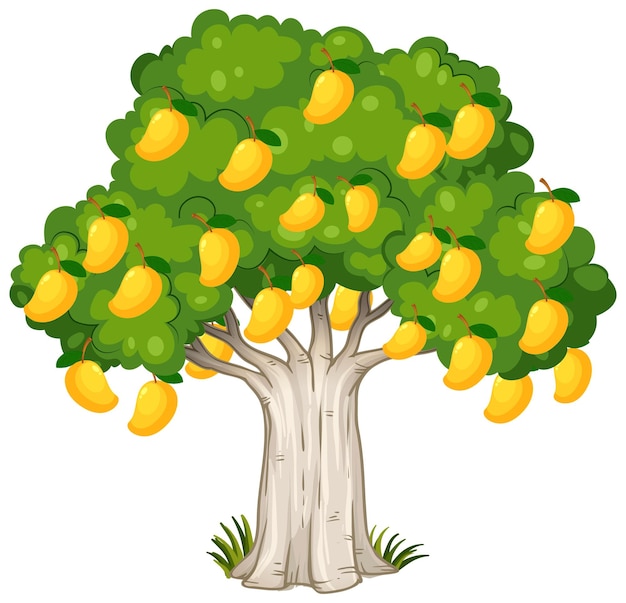 Free vector yellow mango tree isolated on white background