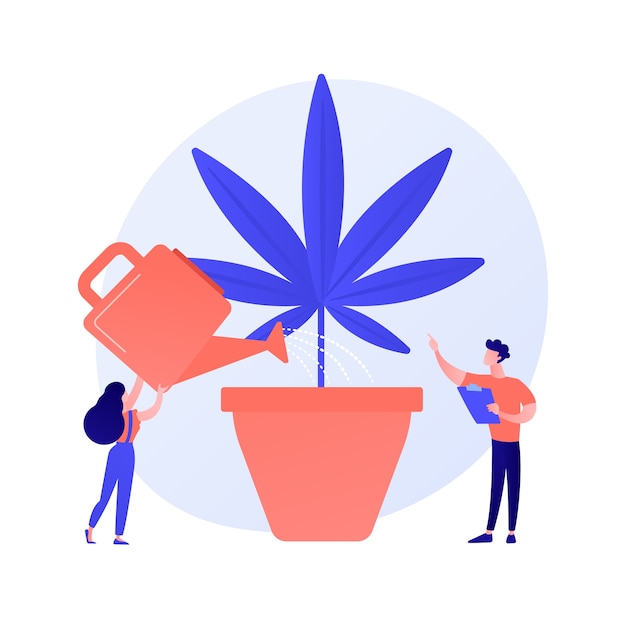 Free Vector young woman watering hemp plant, forbidden houseplant. marijuana cultivation, medical cannabis, illegal horticulture. girl growing weed. vector isolated concept metaphor illustration