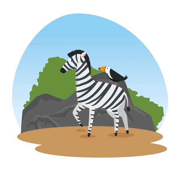 Zebra and bird wild animals reserve