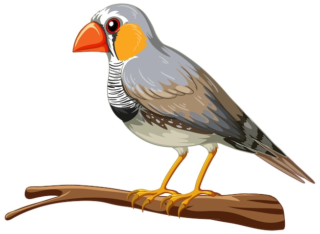 Free vector the zebra finch bird standing on the white background