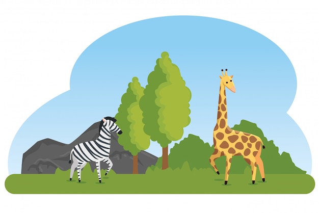 Free Vector zebra and giraffe wild animals reserve