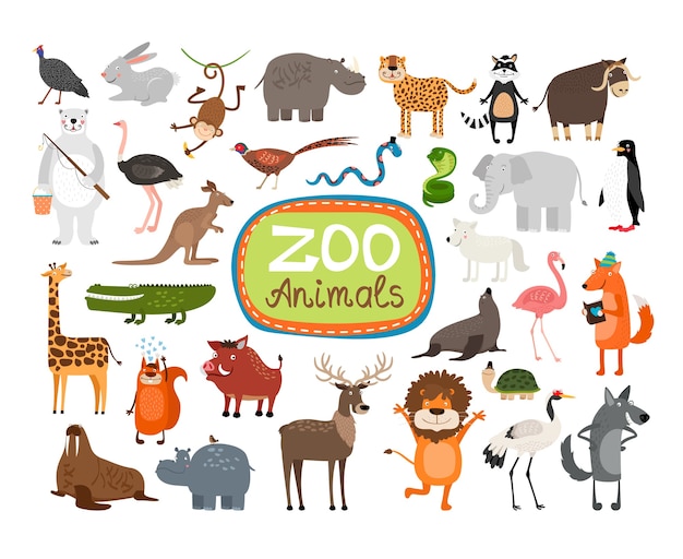 Zoo Animals illustration set