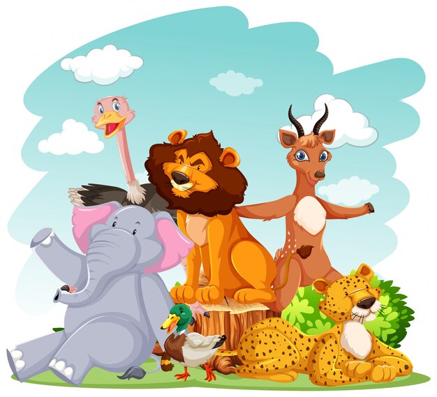 Zoo animals in the wild nature background