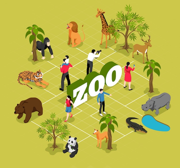 Zoo isometric flowchart with animals near trees and pool and visitors on olive  