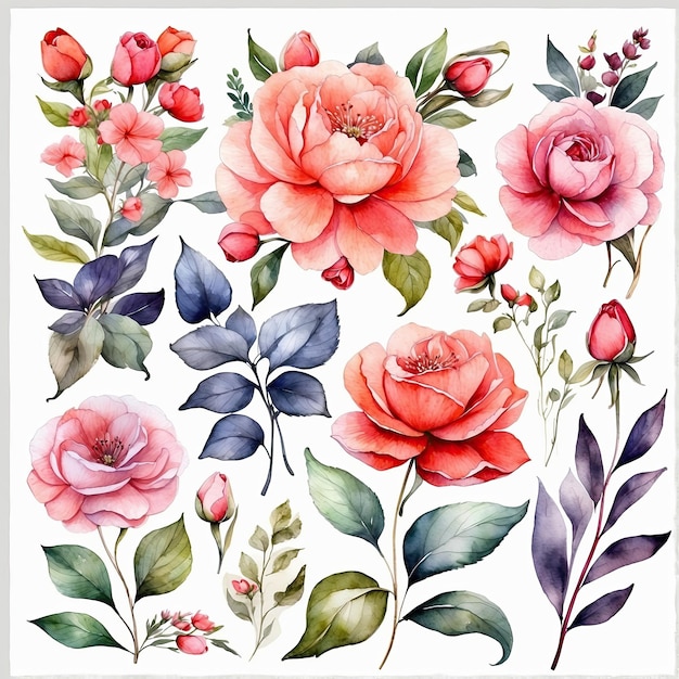 10k HD Watercolor Flowers and Leaves Perfect for Spring and Summer Decor