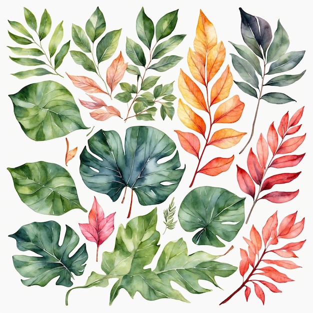 10k HD Watercolor Leaves Perfect for Spring and Summer Decor