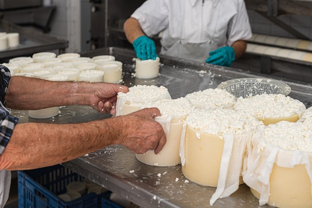 2 older people working in a familyrun fresh cheese business job