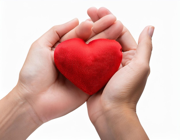 2 people stack their hands together with red rubber heart with feeling of delivering or receiving o