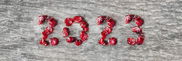 2023 written with cranberry dried on wooden background in panoramic size