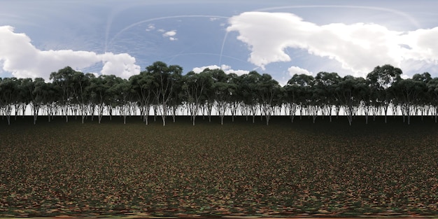 360 degree panorama of the forest, meadow in the middle of the trees, VR, 3D illustration, cg render