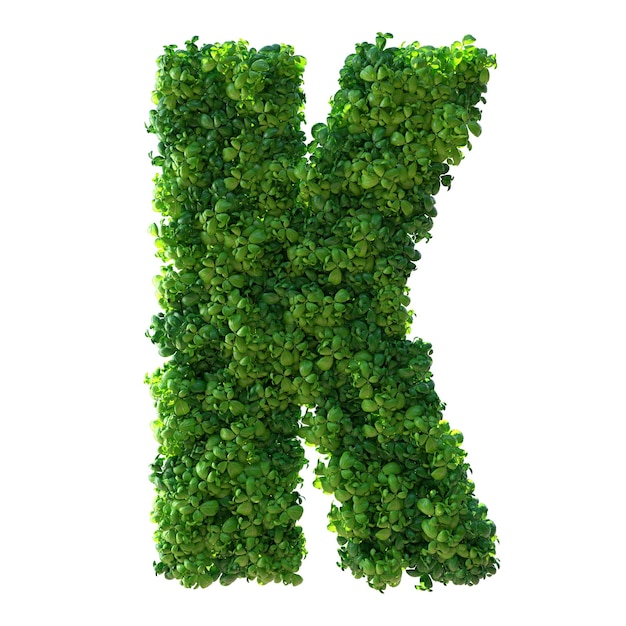 3d alphabet letter K Green plant leaves grass moss basil mint Isolated on a white background with Clipping Path 3d illustration