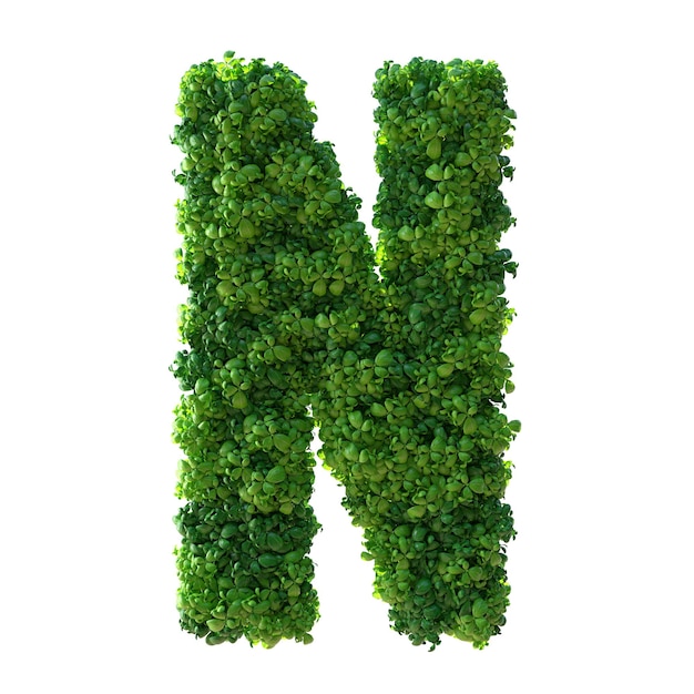 3d alphabet letter N. Green plant, leaves, grass, moss, basil, mint. Clipping path.