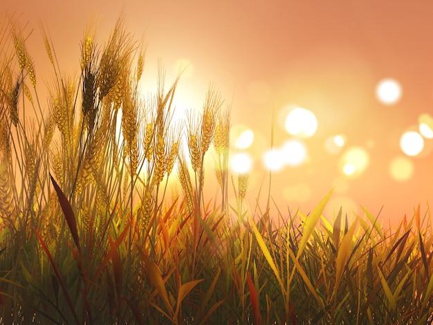 3D Autumn wheat against sunset sky