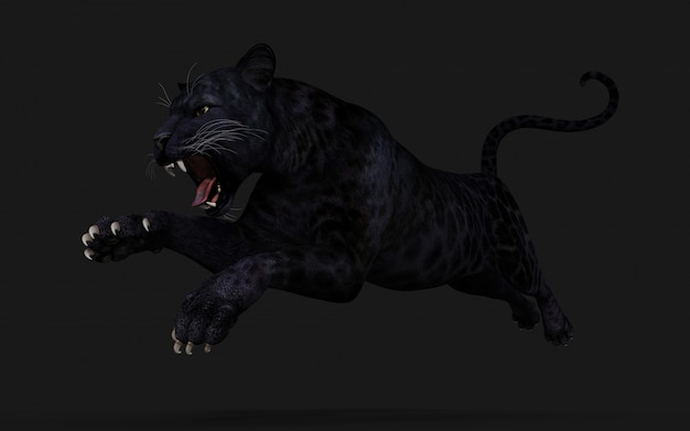 3d Illustration Black Panther Isolate on Black