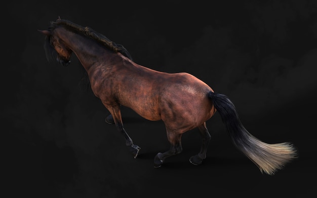 3d Illustration Handsome Brown Horse Pose Long Mane Isolate on Dark Background with Clipping Path