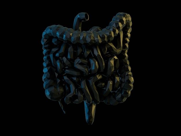 Photo 3d illustration of low poly human intestine