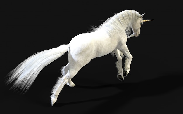 3d Illustration Mythical White Unicorn Posing Isolate on Dark wall with Clipping Path.