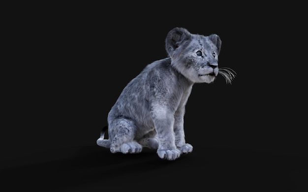 3d Illustration Portrait of White Little Lion Cub Isolated on Dark Background