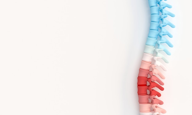 3d illustration render of a spine